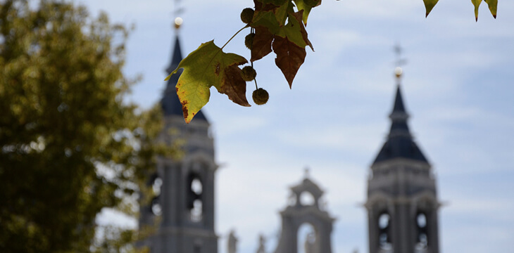 Tips to reduce pollution in Madrid