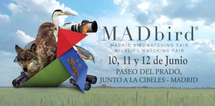 Observe nature this weekend, in the center of Madrid.