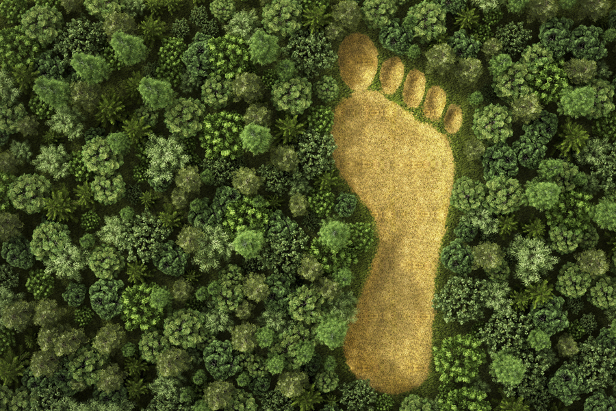 How to reduce the carbon footprint