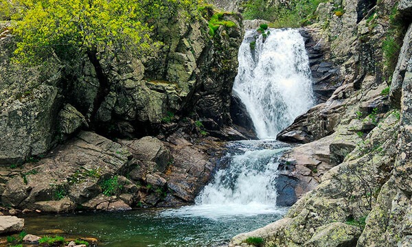 Robledales de Lozoya parques naturales madrid