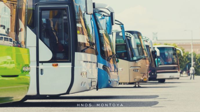 Mieten Sie Ihren Bus für Karneval und genießen Sie das Erlebnis