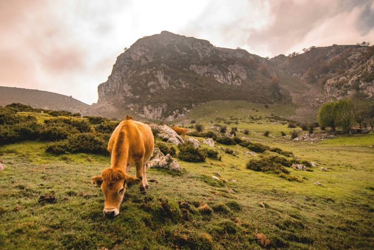 ¿Aún no sabes dónde ir estas vacaciones?