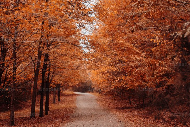 Excursiones de otoño desde Madrid: los destinos más bonitos para disfrutar en grupo